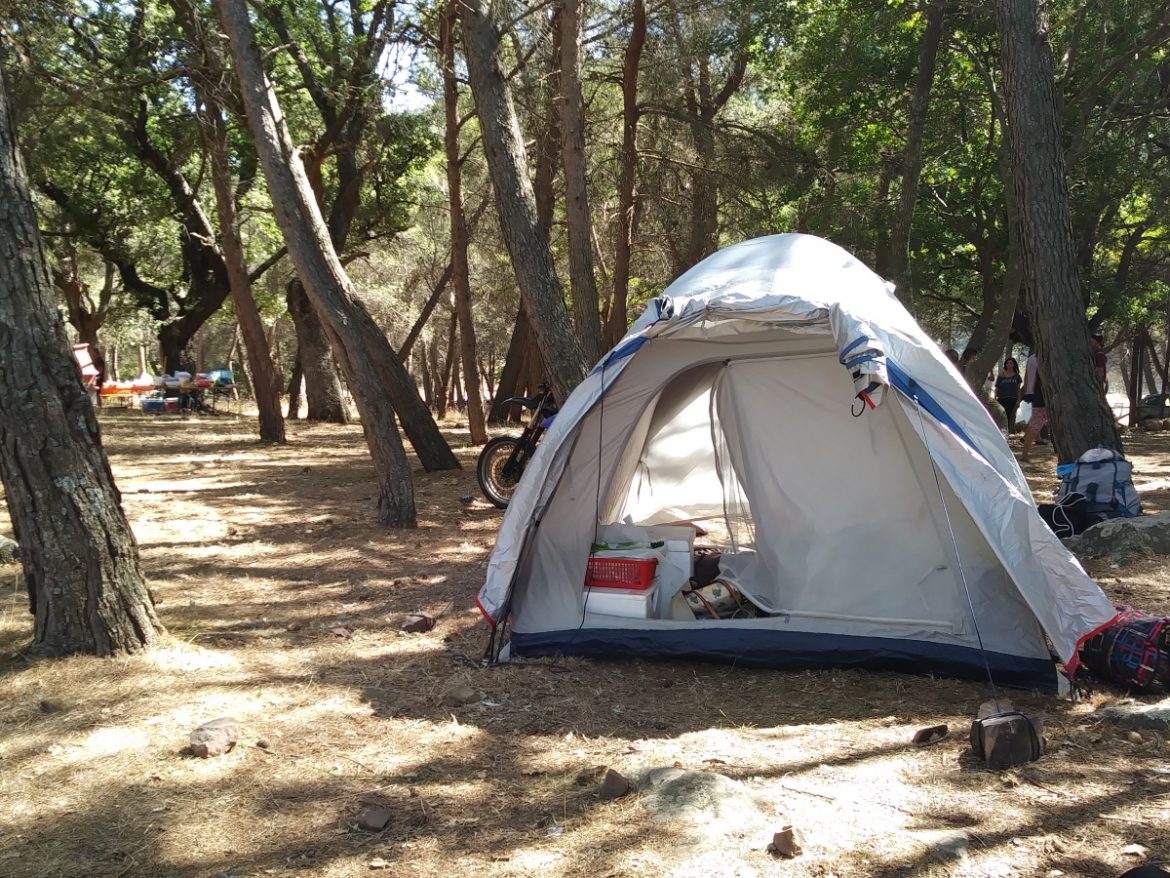 Il bosco nei pressi di Rotondella