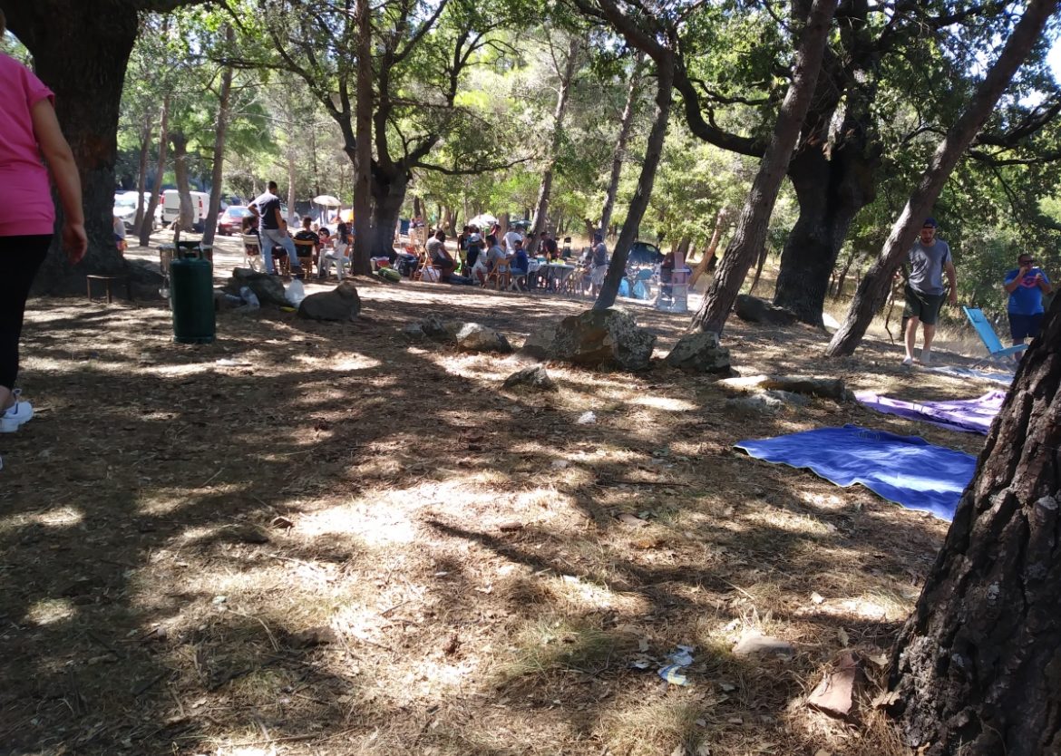 Scorcio del bosco di Rotondella durante Ferragosto