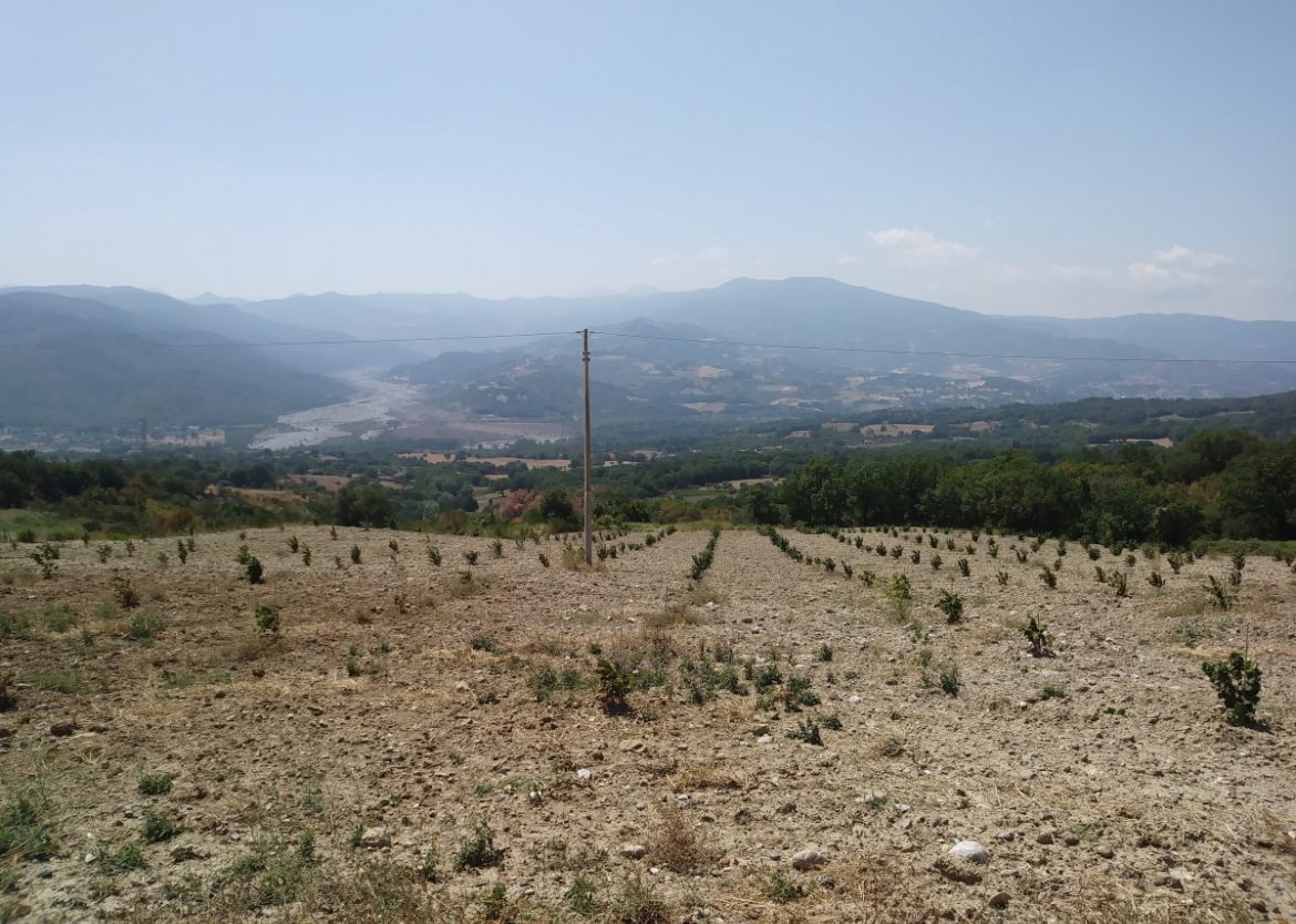 La natura arida della Basilicata dopo Chiaromonte