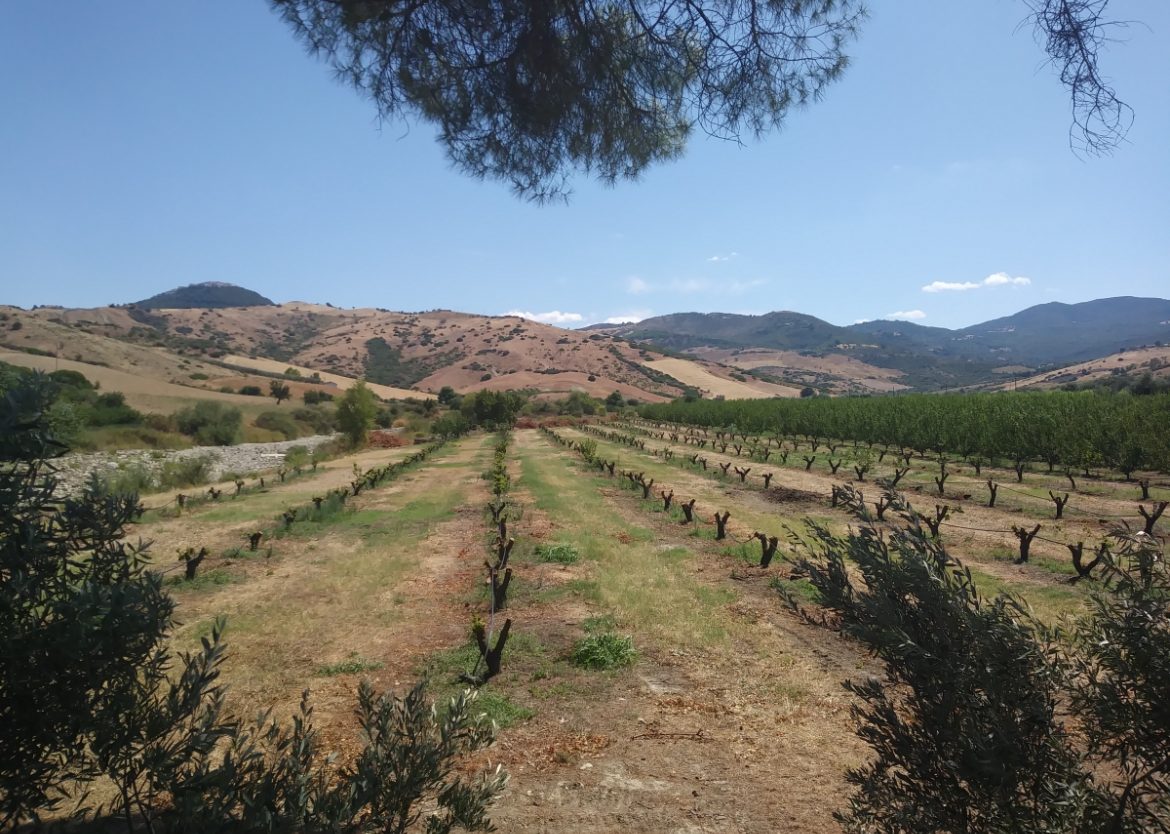 La natura della Basilicata dopo Valsinni