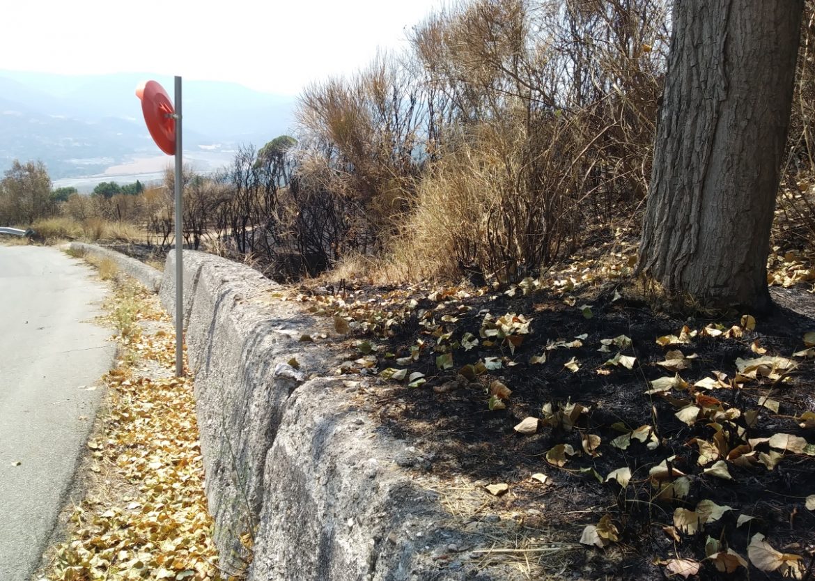 La terra bruciata prima dell'arrivo a Chiaromonte